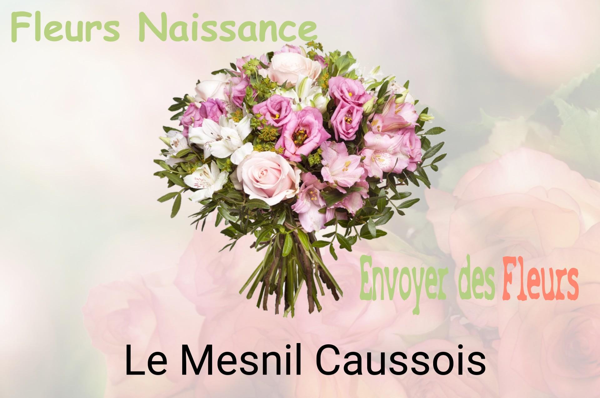Bouquet de fleurs de naissance livré à Le Mesnil-Caussois