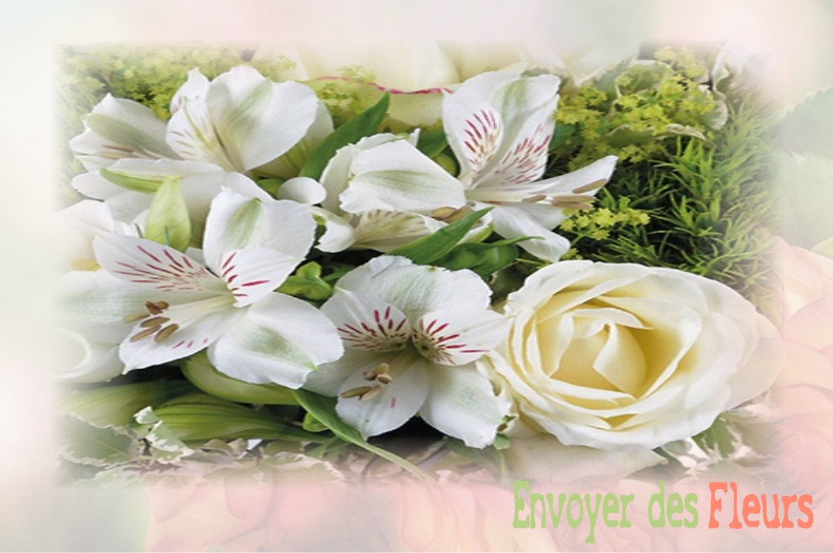 envoyer des fleurs à à LE-MESNIL-CAUSSOIS